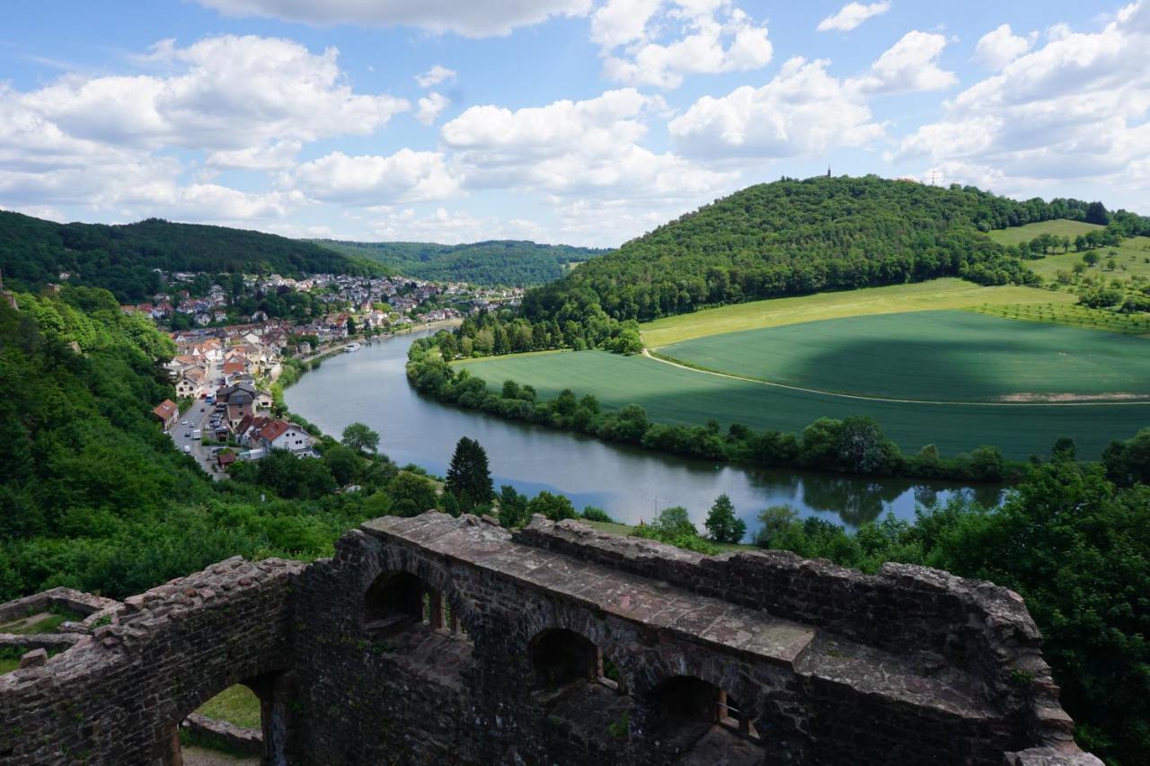 Fewo Am Neckarsteig Mit Anbindung An Heidelberg Неккарштайнах Екстер'єр фото