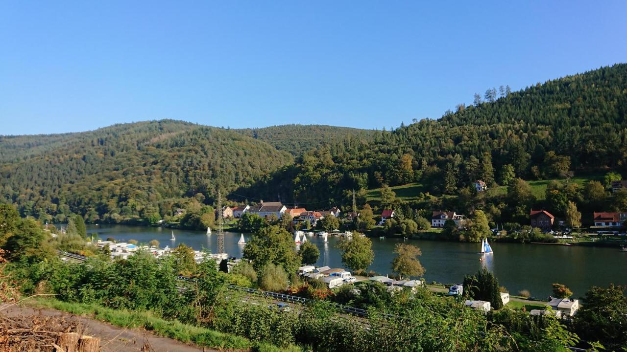 Fewo Am Neckarsteig Mit Anbindung An Heidelberg Неккарштайнах Екстер'єр фото